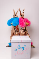 Iepurașii Aurii - imagine 2