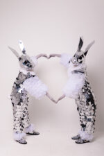 Iepurașii Argintii - imagine 3